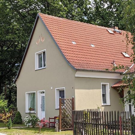 Helenes Ferienwohnung Auf Dem Bauernhof - Lausitzer Seenland Lauta エクステリア 写真