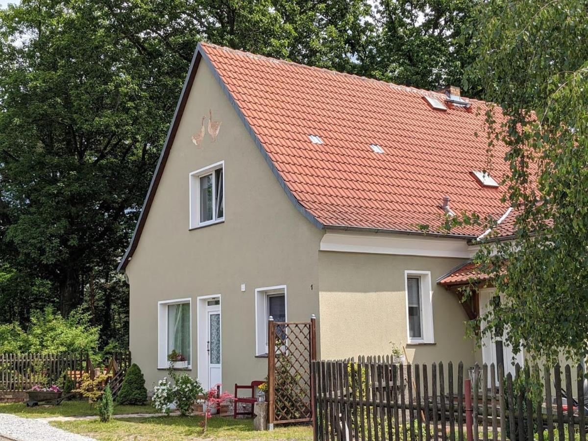Helenes Ferienwohnung Auf Dem Bauernhof - Lausitzer Seenland Lauta エクステリア 写真