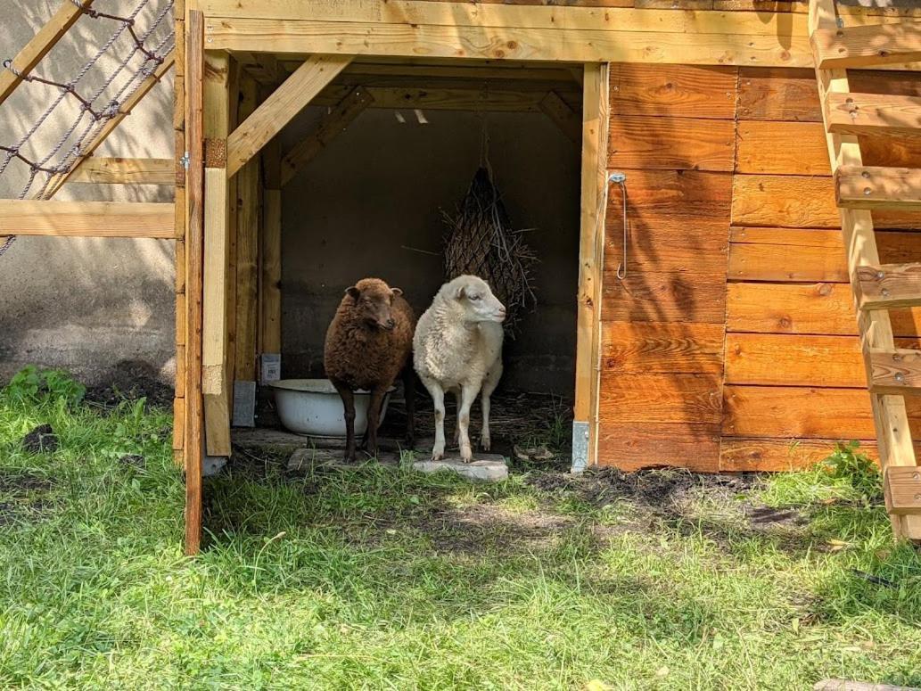 Helenes Ferienwohnung Auf Dem Bauernhof - Lausitzer Seenland Lauta エクステリア 写真