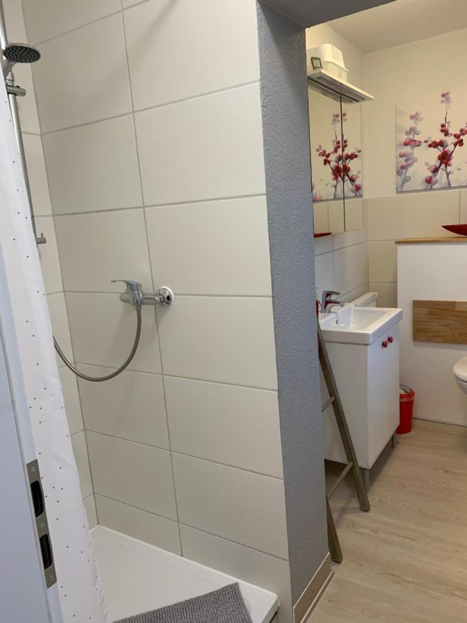 Helenes Ferienwohnung Auf Dem Bauernhof - Lausitzer Seenland Lauta エクステリア 写真